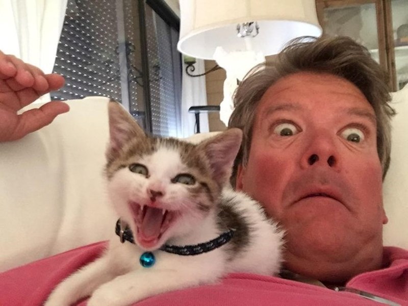 11. "Tata mi svakodnevno šalje selfieje sa mačkom koju nije htio."