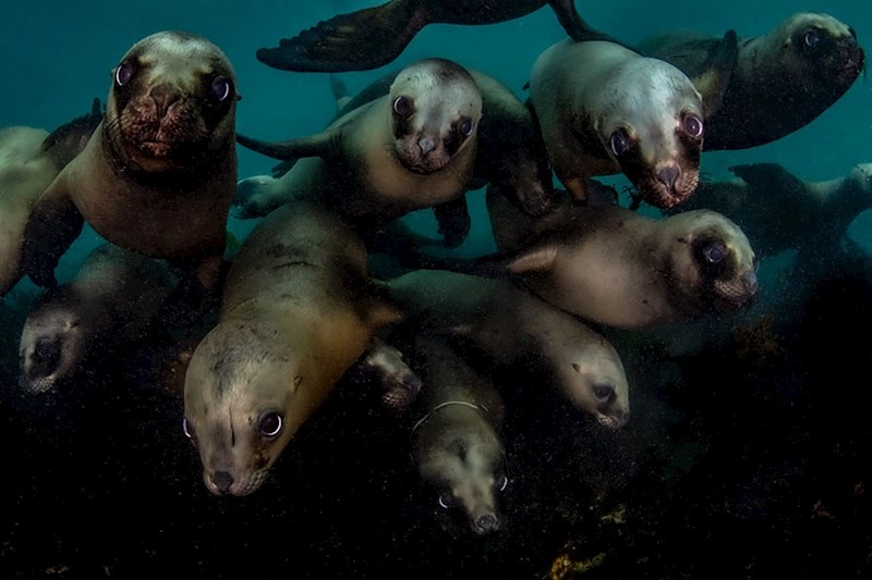 20. mjesto - Celia Kujala