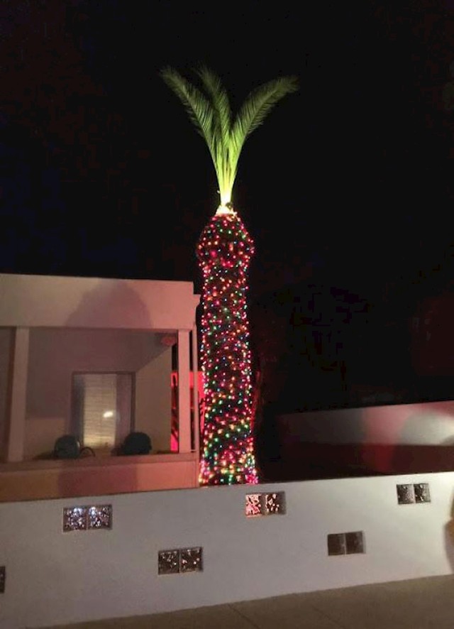 17. Naši susjedi ponovno su okitili divovski penis u svome vrtu.😂