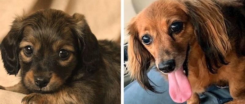 13. I dalje je slatka kao beba, iako ima 13 godina