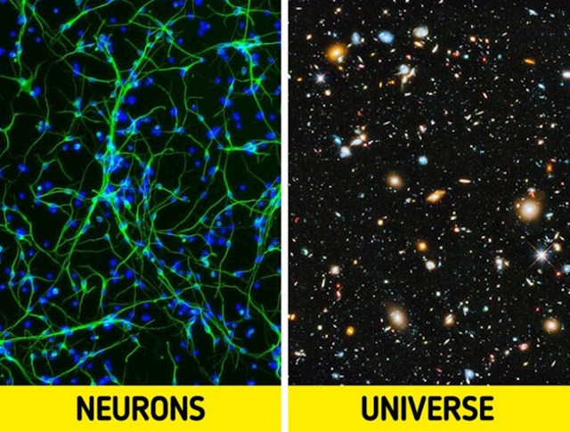 3. Neuroni i svemir