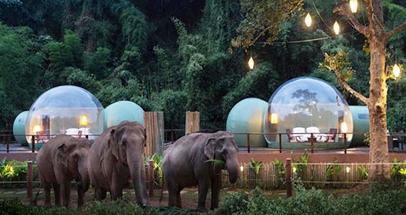 U ovom tajlanskom resortu možete spavati u prozirnim kupolama okruženi slonovima
