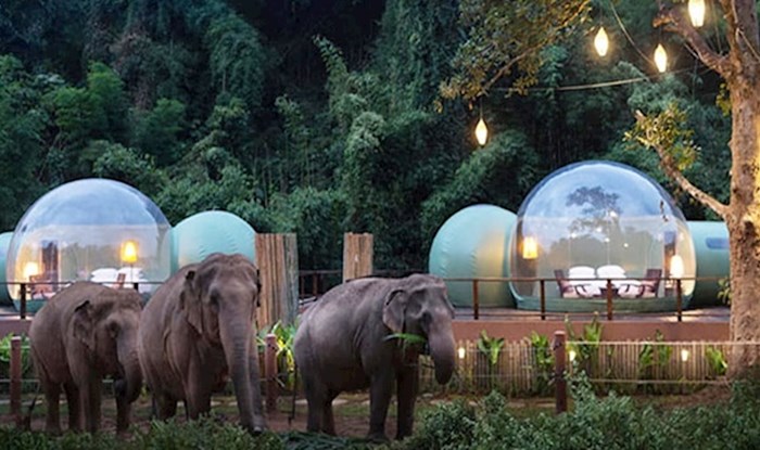 U ovom tajlanskom resortu možete spavati u prozirnim kupolama okruženi slonovima