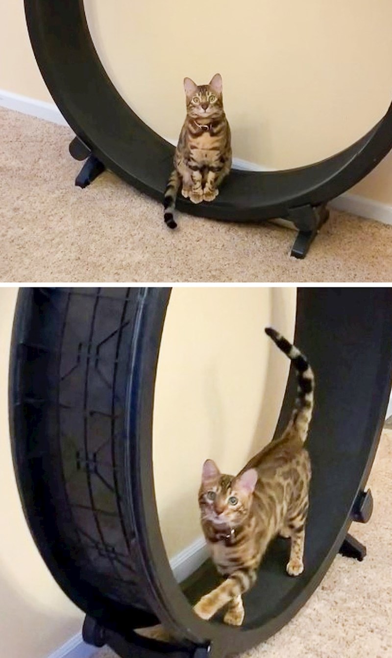 "Svako popodne zahtjeva da ga dođem gledati kako trči u krugu."