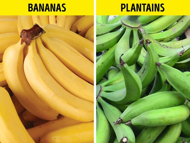 5. Banane/ Plantana banane