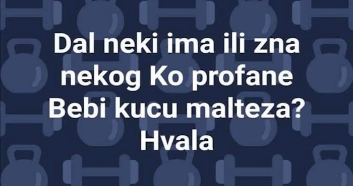Svi se smiju komentaru koji je tip ostavio ispod jedne potpuno nerazumljive objave