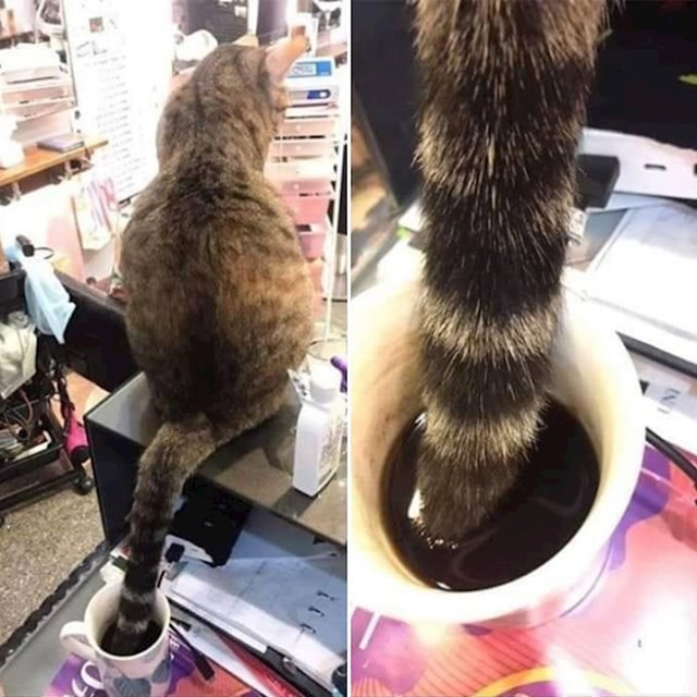 17.
