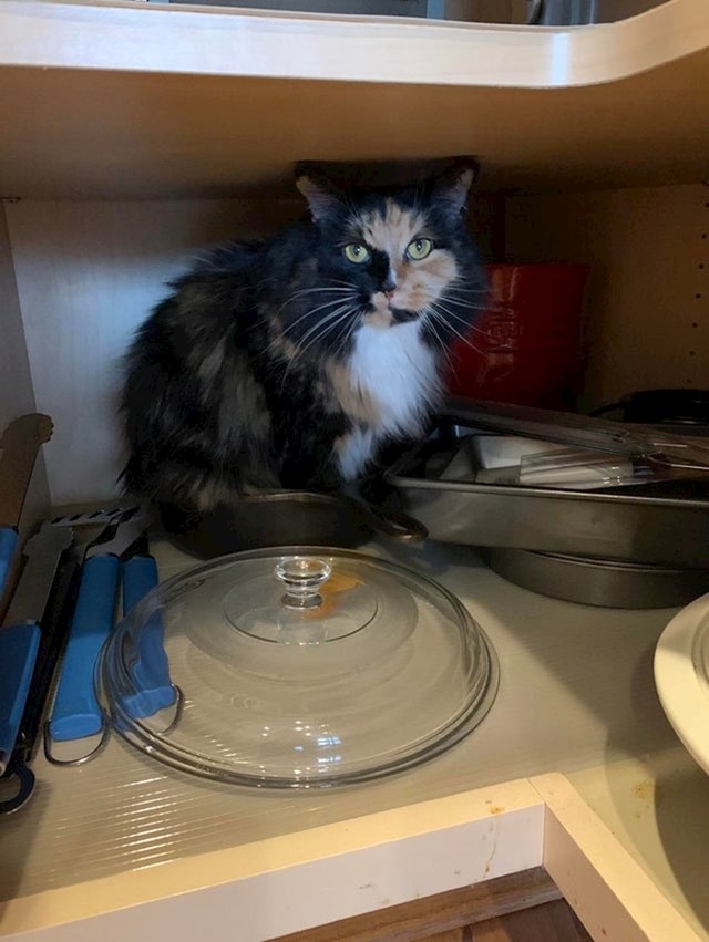 "Ne, ne smiješ uzeti ovo suđe."