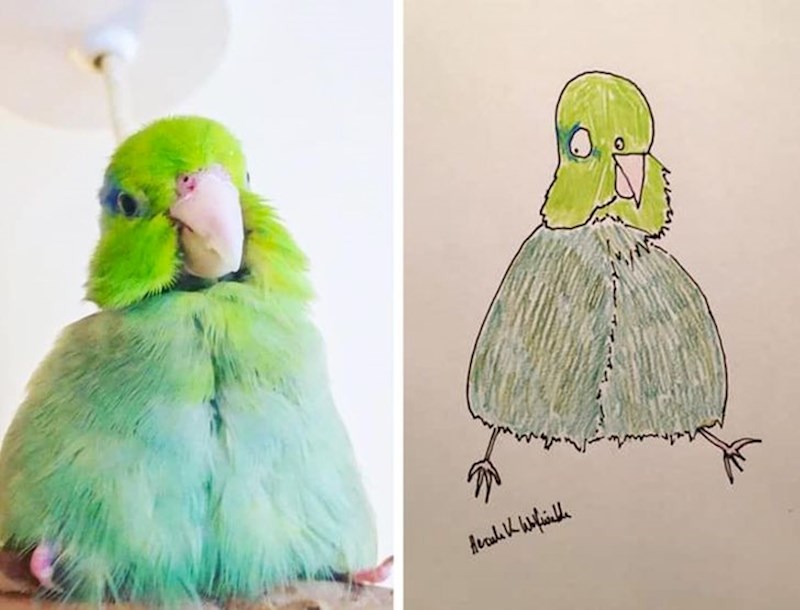 15. Parakeet Loaf