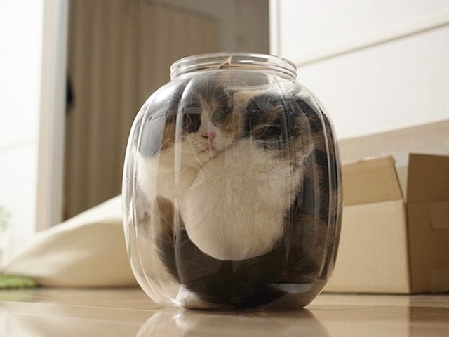 14.