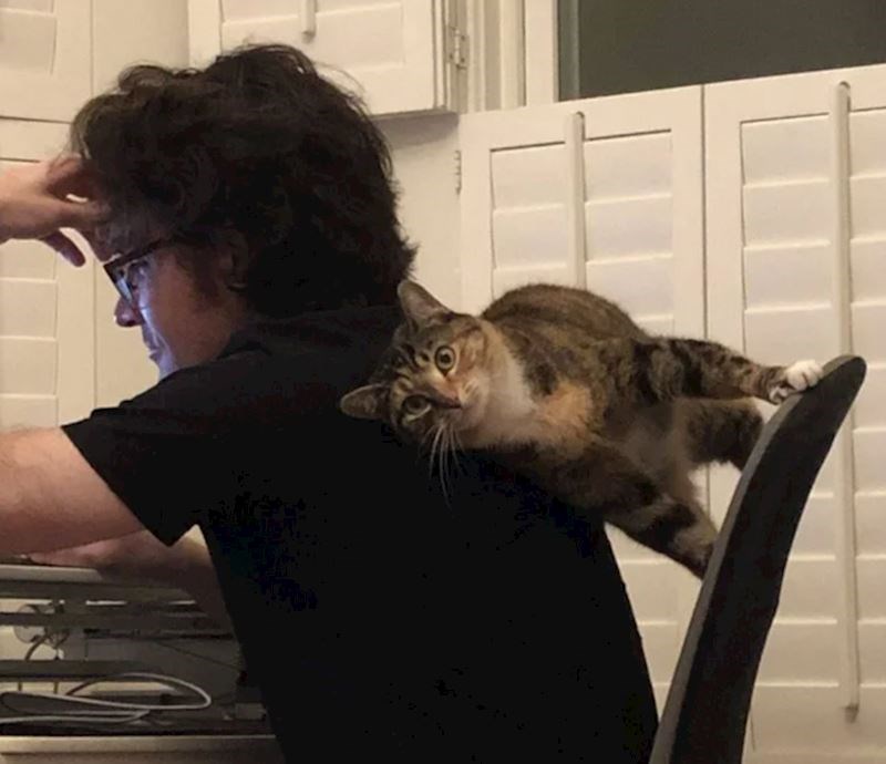 1. Zakoni fizike ne odnose se na ovu macu