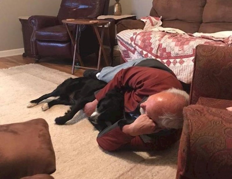 5. Životinjama nije mjesto na kauču. Ali zato on može ležati s njim na tepihu.