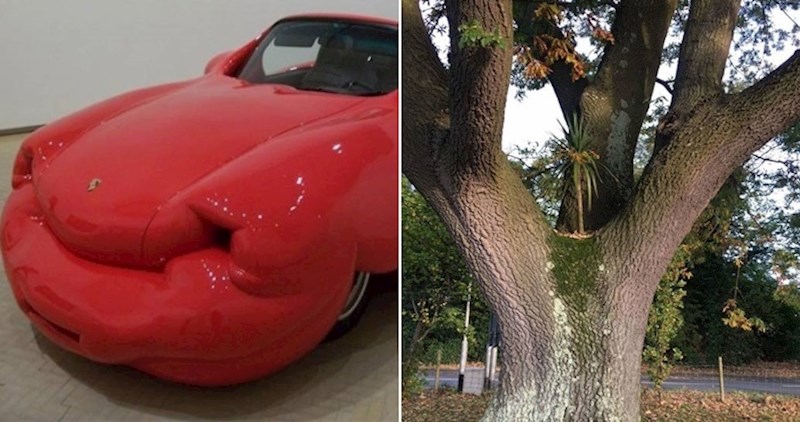 17 zbunjujućih fotki koje će vam ostaviti upitnike nad glavom