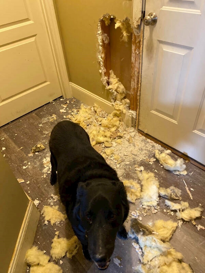 15. Zločesti dečko