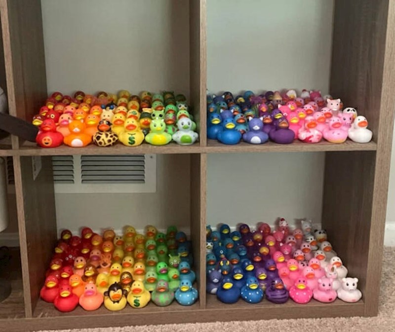 8. Netko se bacio na skupljanje plastičnih patkica