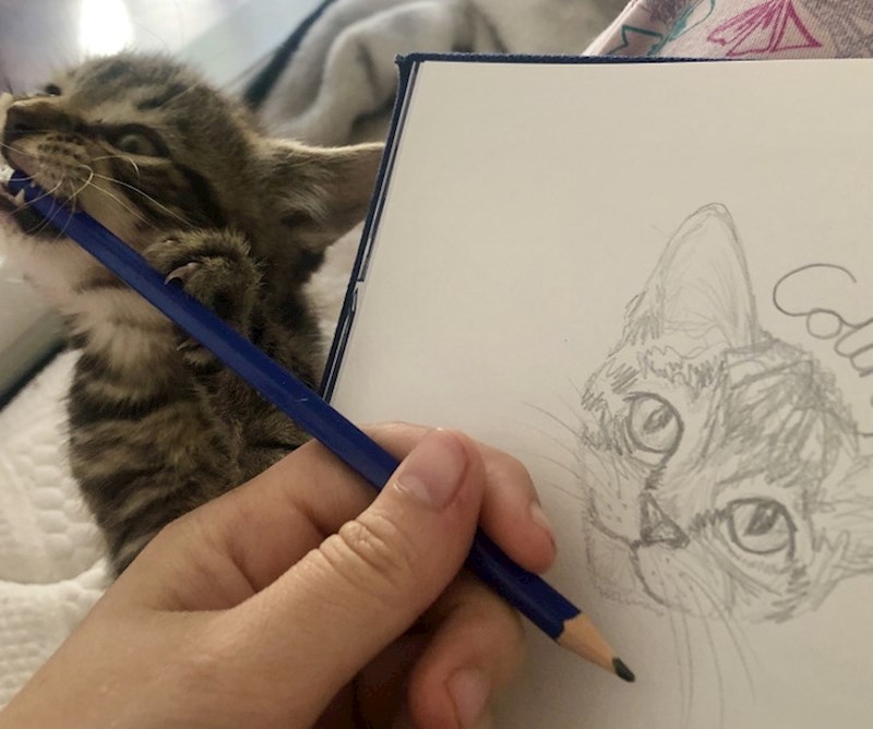 6. "Moj najbolji prijatelj i kritičar moje umjetnosti."