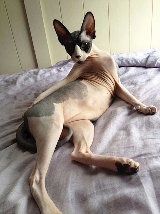 7.
