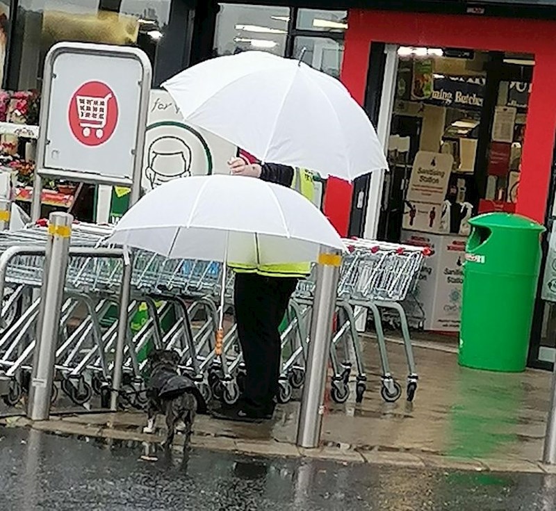 Žena je dala kišobran psu da ne pokisne dok čeka pred dućanom.