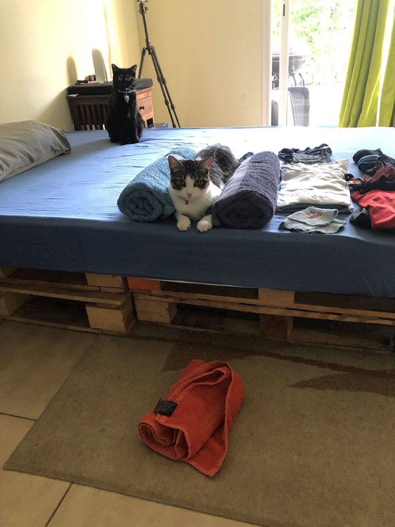 11. Zna odabrati najbolje mjesto.