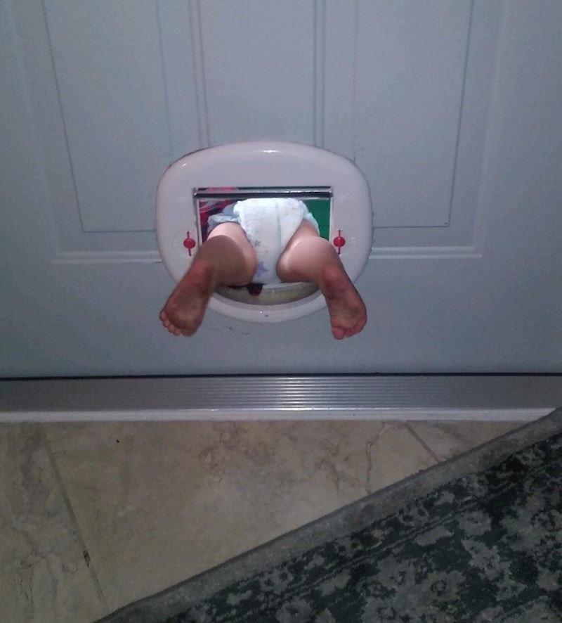 10. Otkrila je prolaz za mačku