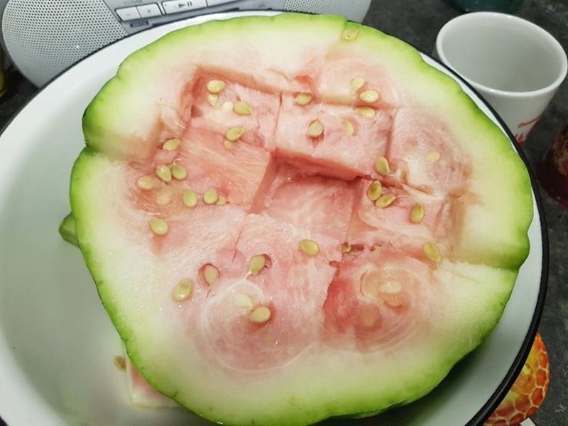 14. Moj brat ovako reže lubenicu