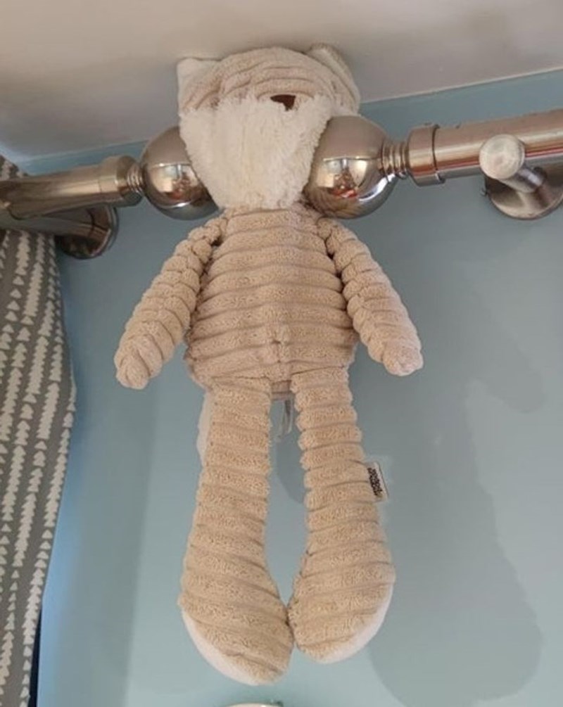 12. Pitamo se što je ovaj medo učinio da je zaslužio ovakvu sudbinu...