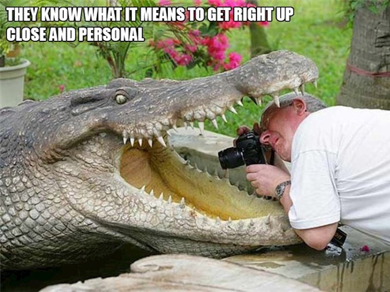 17. Ovo se zove snimka iz blizine.