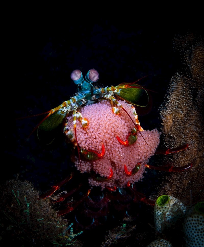 14. mjesto - Naomi Strong