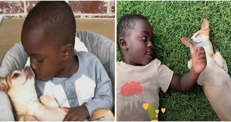 VIDEO Dječak se panično bojao pasa, a onda je upoznao ovog starog psića