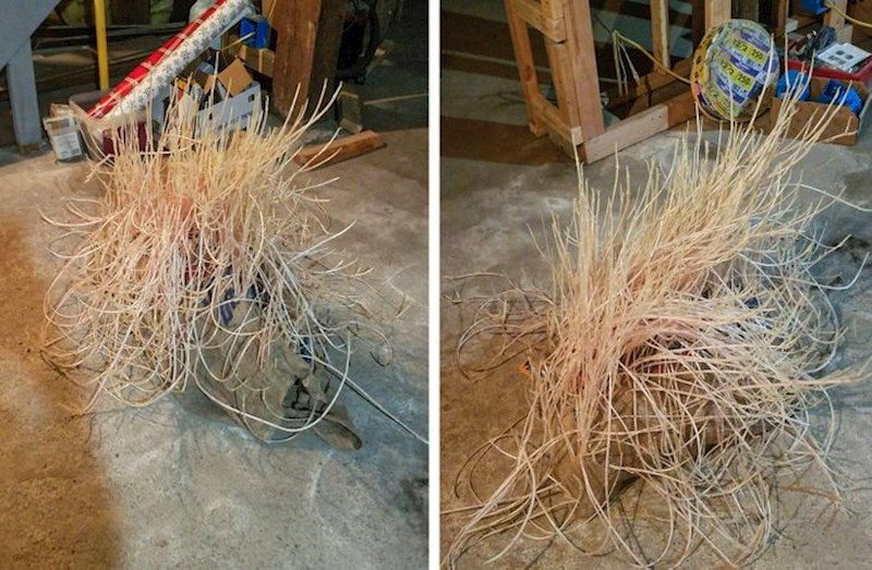 18. Ovo je, navodno, bila vreća krumpira koja je 3 mjeseca stajala u nečijem podrumu