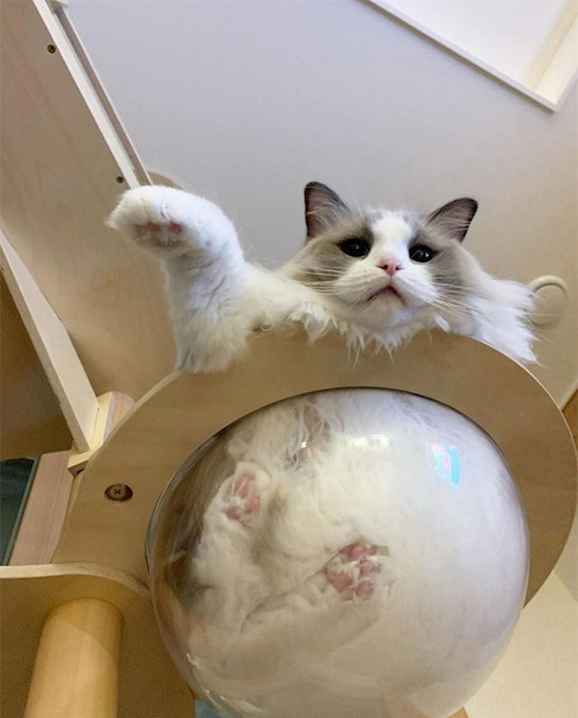 19.