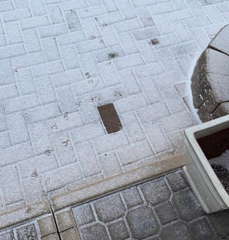 8. Snijeg nije prekrio samo jednu ciglu na terasi