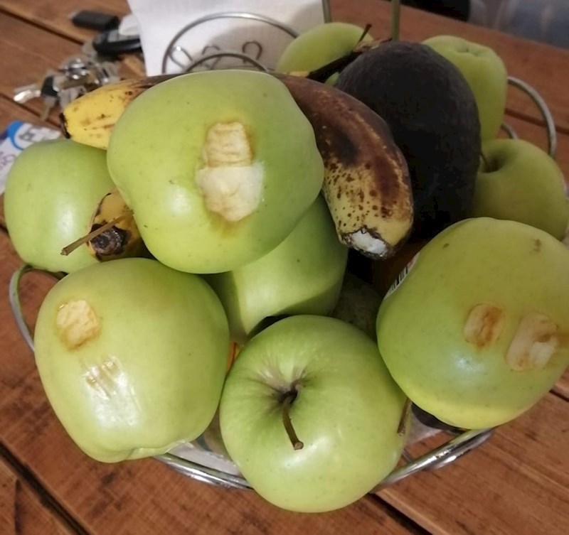 6. Njihov sin ima novi hobi