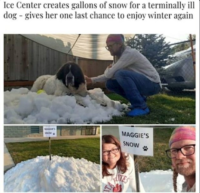 9. Ovaj pas koji pati od neizlječive bolesti dobio je priliku da posljednji put uživa u snijegu kojeg je toliko obožavao.🥰
