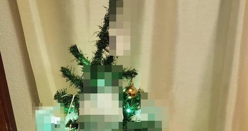 Duhoviti Dalmatinci svoj bor uredili su totalno u skladu s 2020. godinom