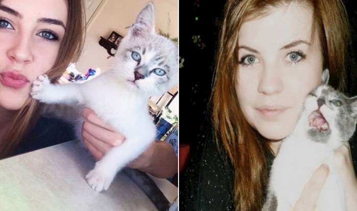 22 fotke mrzovoljnih mačaka na čijim facama piše da preziru selfieje