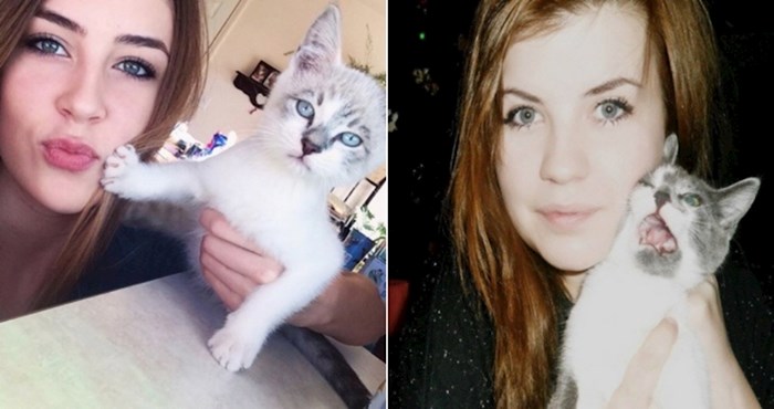 22 fotke mrzovoljnih mačaka na čijim facama piše da preziru selfieje