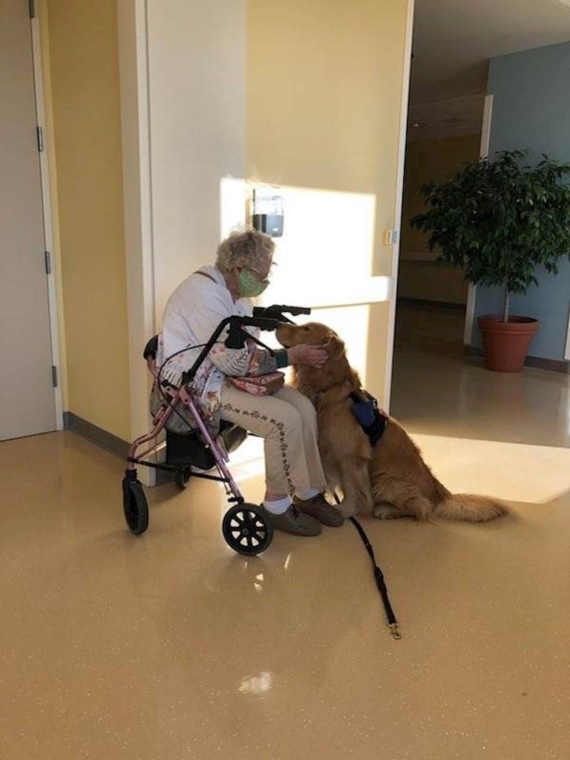 Nema ljepšeg posla...