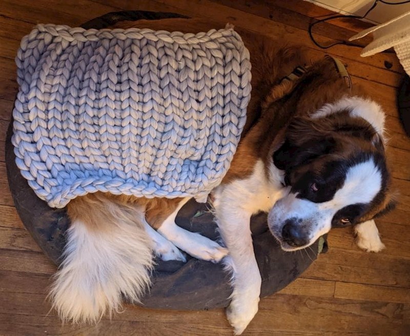 2. Dekica koju je naručila moja žena. Pas je tu za usporedbu.