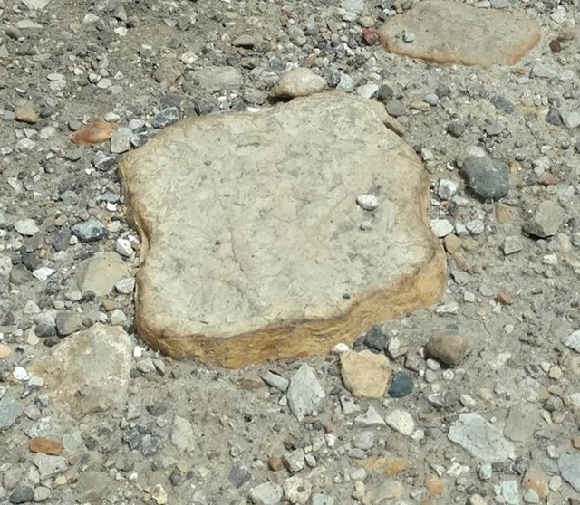 12. Netko je bio uvjeren da je pronašao komad tosta. Ali ovo je samo kamen.😳