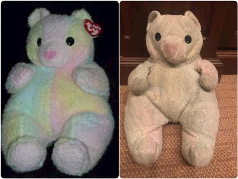 9. Plišani medo nakon 15 godina prijateljstva