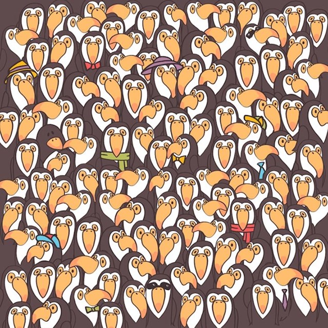 7. Pronađite pingvina!