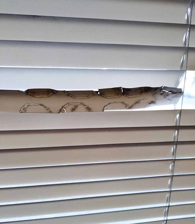 14. Odlučio je pojesti roletu