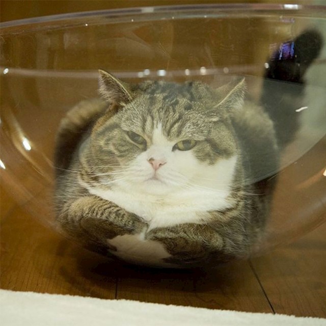 9.