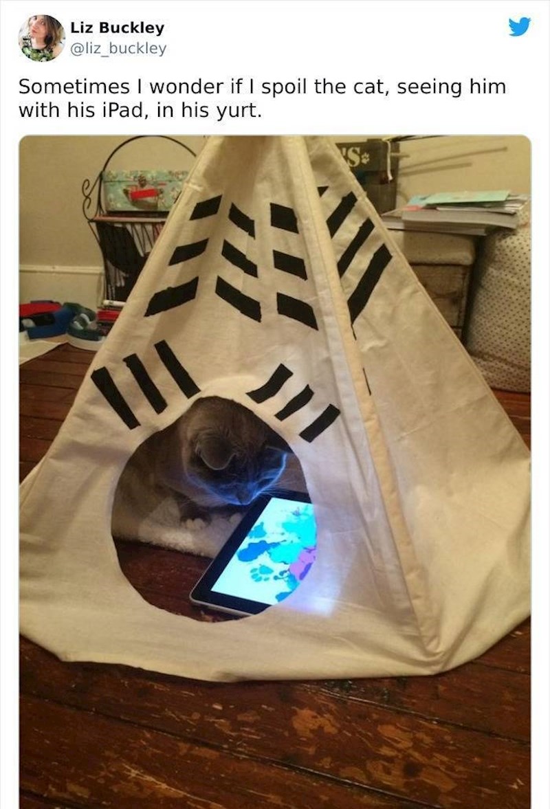 3. Gleda crtiće na svom tabletu u svojem šatoru