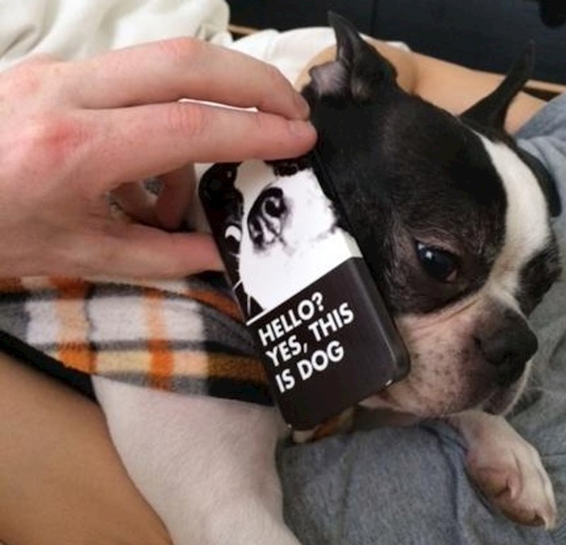 3. "Moja žena je nabavila novu maskicu za mobitel i mislim da je sjajna."