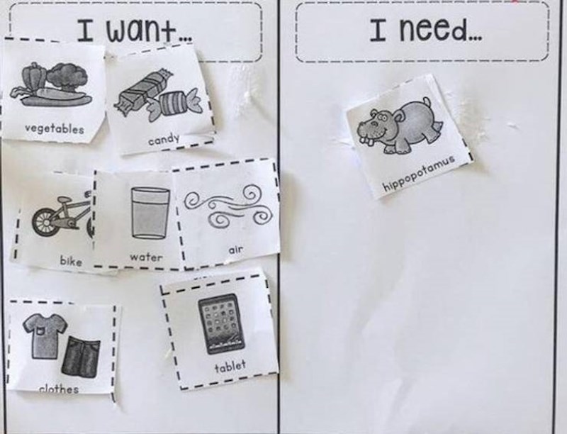 14. Klinac želi povrće, slatkiše, bicikl, vodu, zrak, cipele i tablet. A treba - nilskog konja!