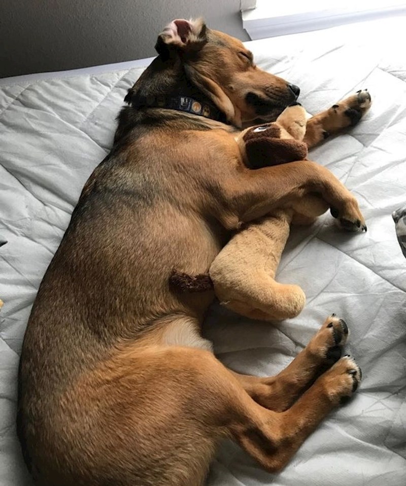 14. "Uvijek uništi sve svoje igračke. Ali s ovim plišancem je drugačije! Čuva ga i ne da nikome da ga takne!"