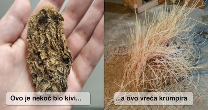 19 fotki na kojima se vidi što se dogodi s različitim stvarima kad zaboravimo na njih