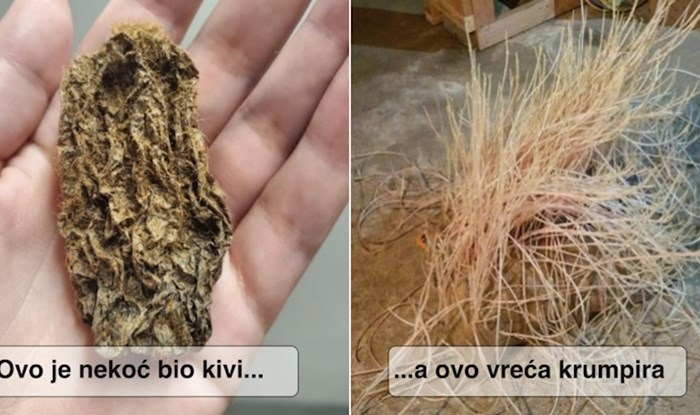 19 fotki na kojima se vidi što se dogodi s različitim stvarima kad zaboravimo na njih